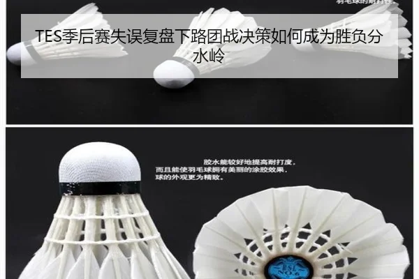 TES季后赛失误复盘下路团战决策如何成为胜负分水岭